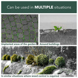 Weedblast Rootkill Concentrated Weedkiller 3 x 100 Sachets boxed with 5L Garden Sprayer