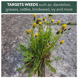 Weedblast Rootkill Concentrated Weedkiller 3 x 100 Sachets boxed with 5L Garden Sprayer