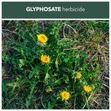 Weedblast RootKill Glyphosate Weedkiller 2 x 2.5 Litre, Ready to use with Long Hose Trigger