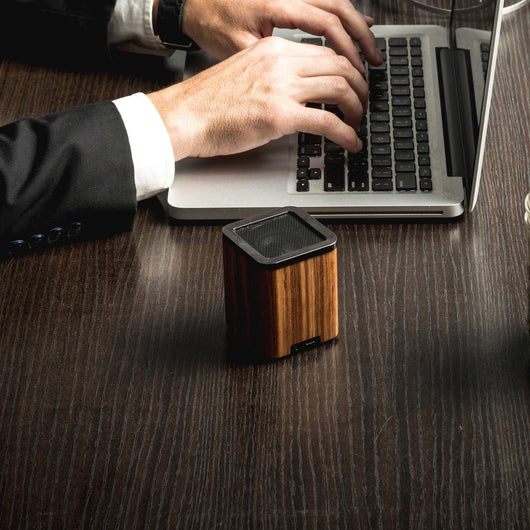 Zebra Wood Satellite 2.0 Wireless Speaker
