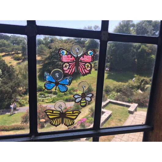 Butterflies & Bees Suncatcher Kit Gifts in a Tin