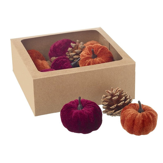 Pumpkins & Pine Cones Box Set