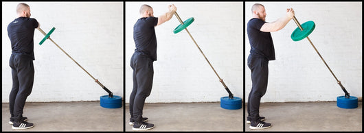 Plate Mounted Core Trainer / T-Bar Row