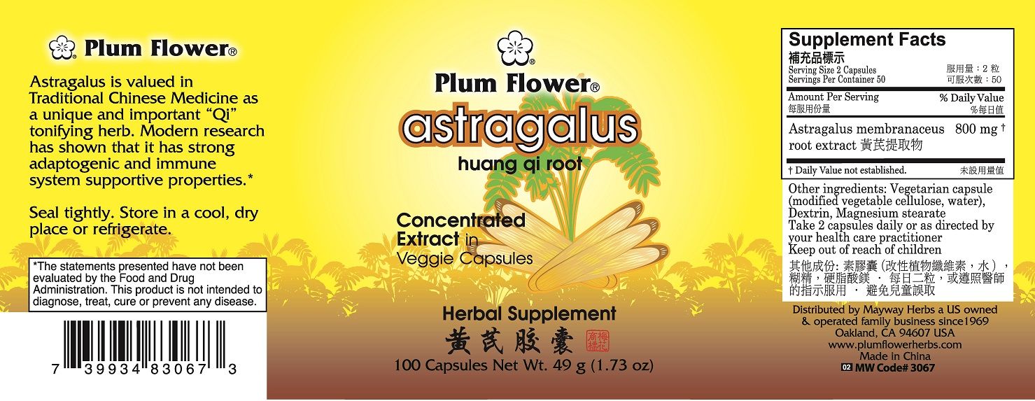 Astragalus (Huang Qi) Capsules (100 Capsules)