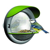 Window Bird Feeder